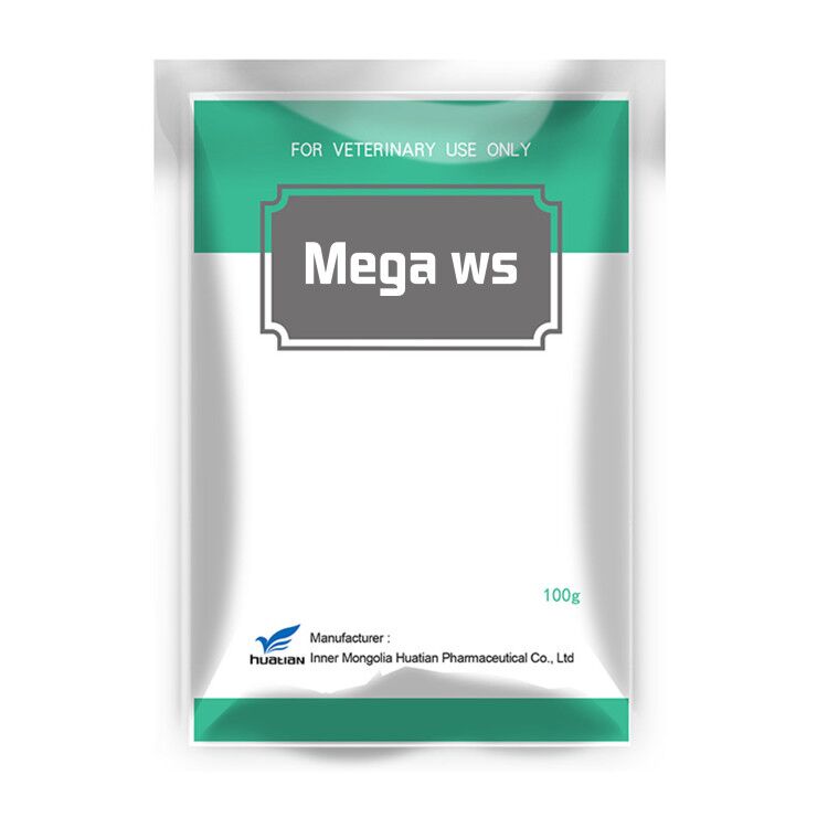 Mega ws 